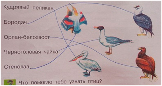 Проект по кубановедению 2 класс про лето