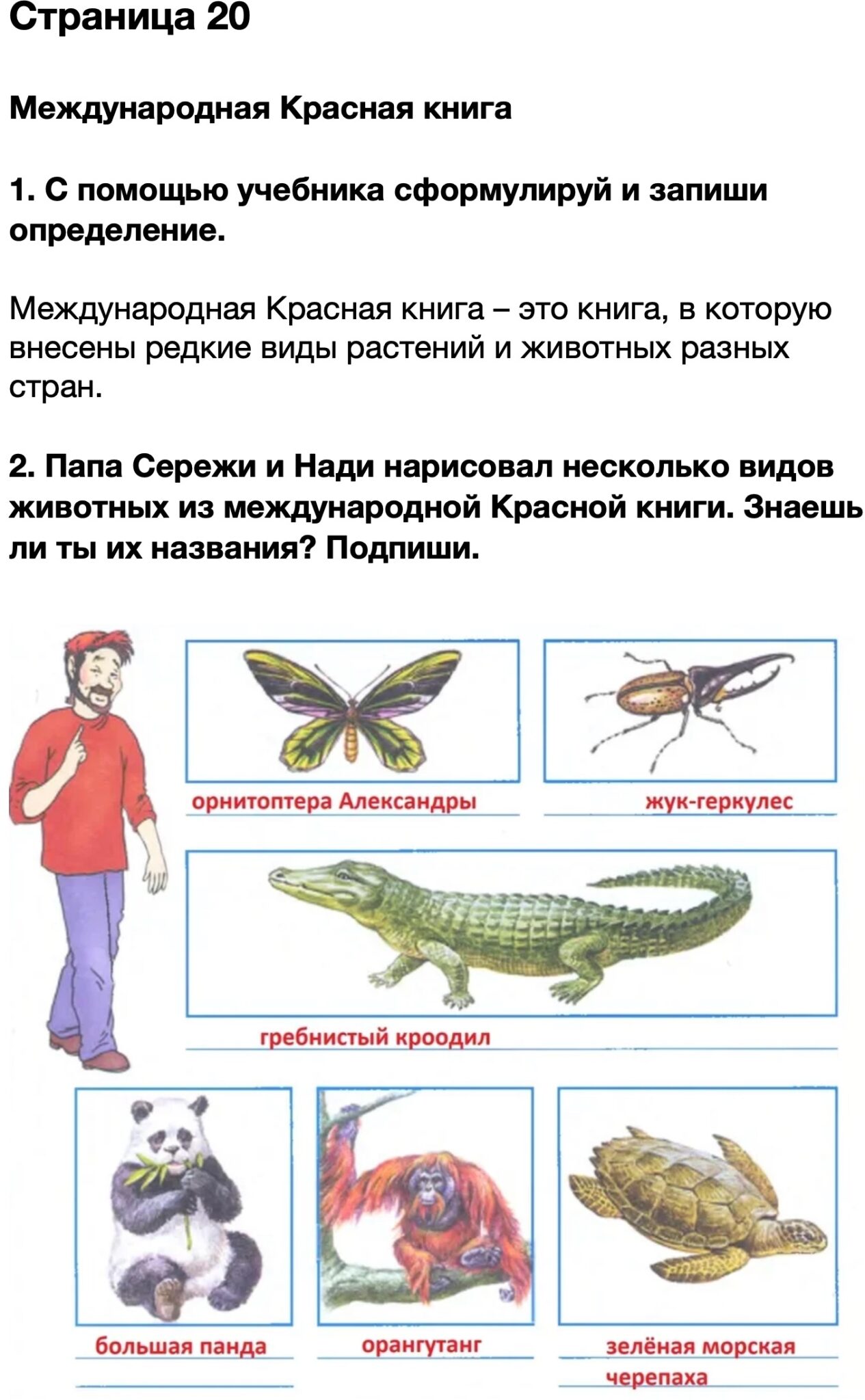 Папа сережи и нади нарисовал несколько видов животных из международной красной книги