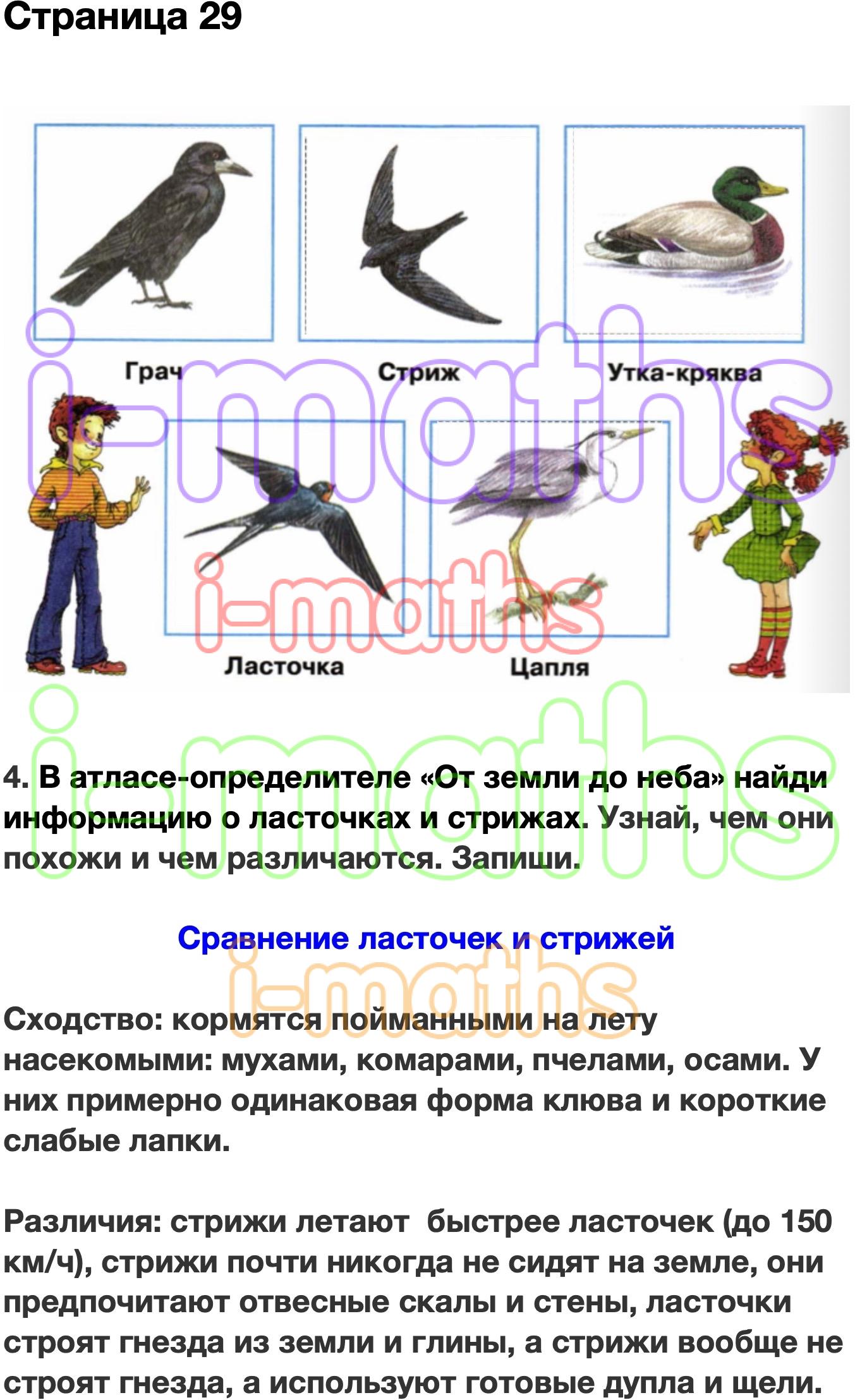 Окружающий мир 2 класс стр 29. Сравнение ласточек и Стрижей окружающий мир рабочая тетрадь. Сходство ласточек и Стрижей атлас определитель от земли до неба. Сравнение ласточек и Стрижей. Сходство ласточек и Стрижей 2 класс.