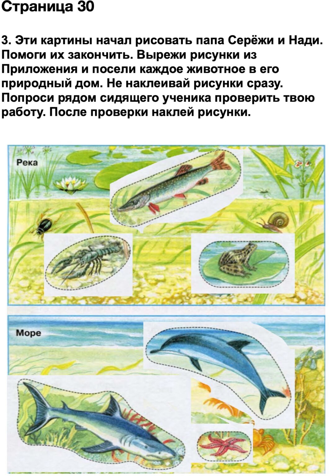 Вырежи из приложения стр 77 и правильно расположи рисунки растений и животных