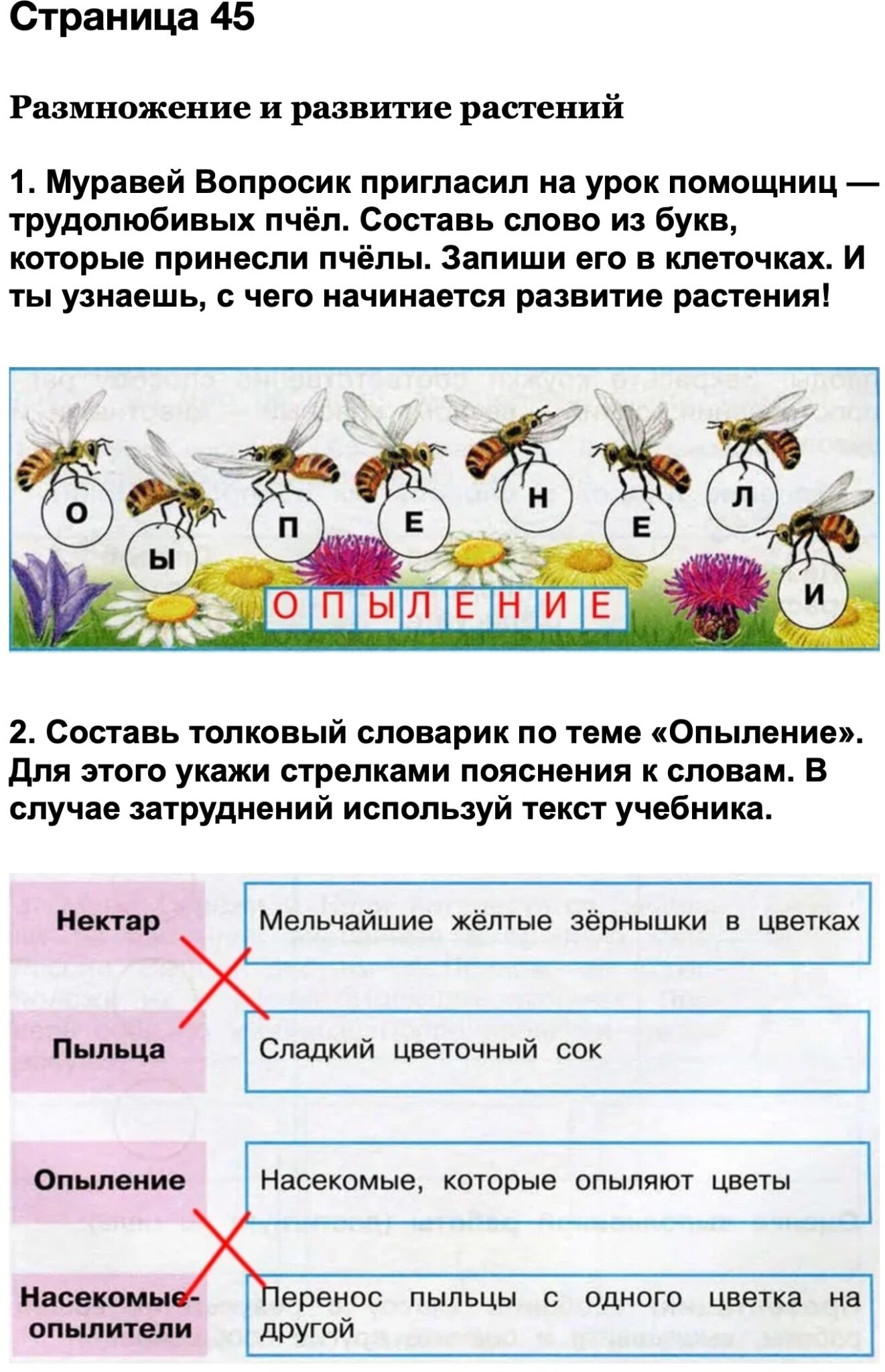 На рисунке изображены отпечатки листа семени и реконструкция вымершего растения обитавшего 350 275