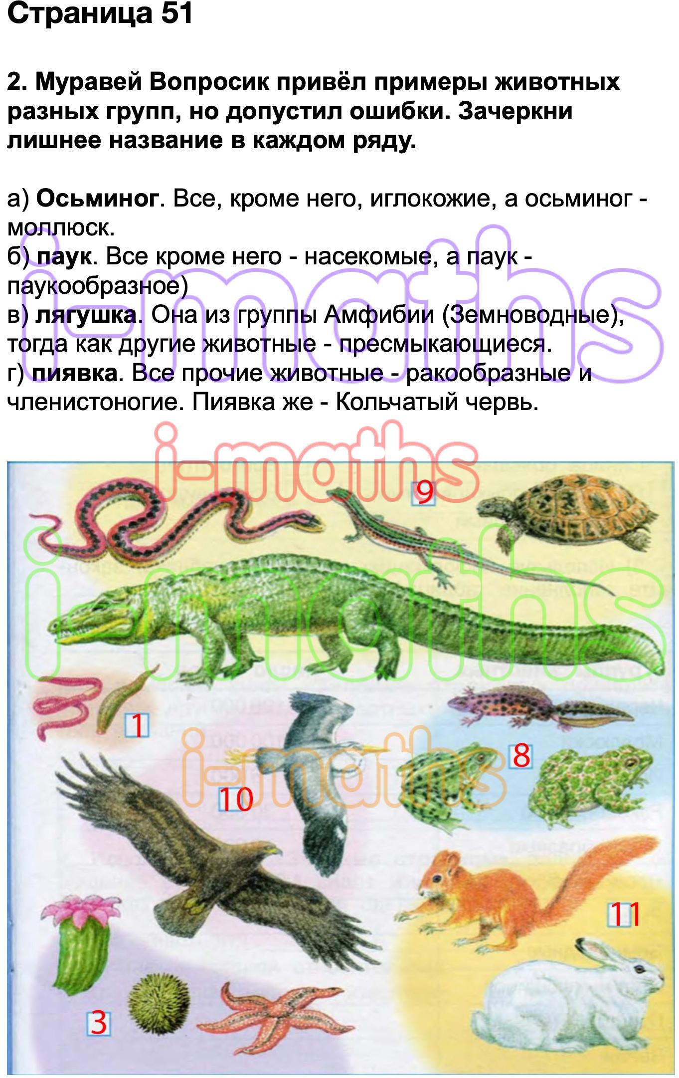 Мир животных 3 класс окружающий рабочая тетрадь. Разнообразие животных Плешаков. Животные многообразие 3. Разнообразие животных окружающий мир Плешаков. Разнообразие животных 3 класс.