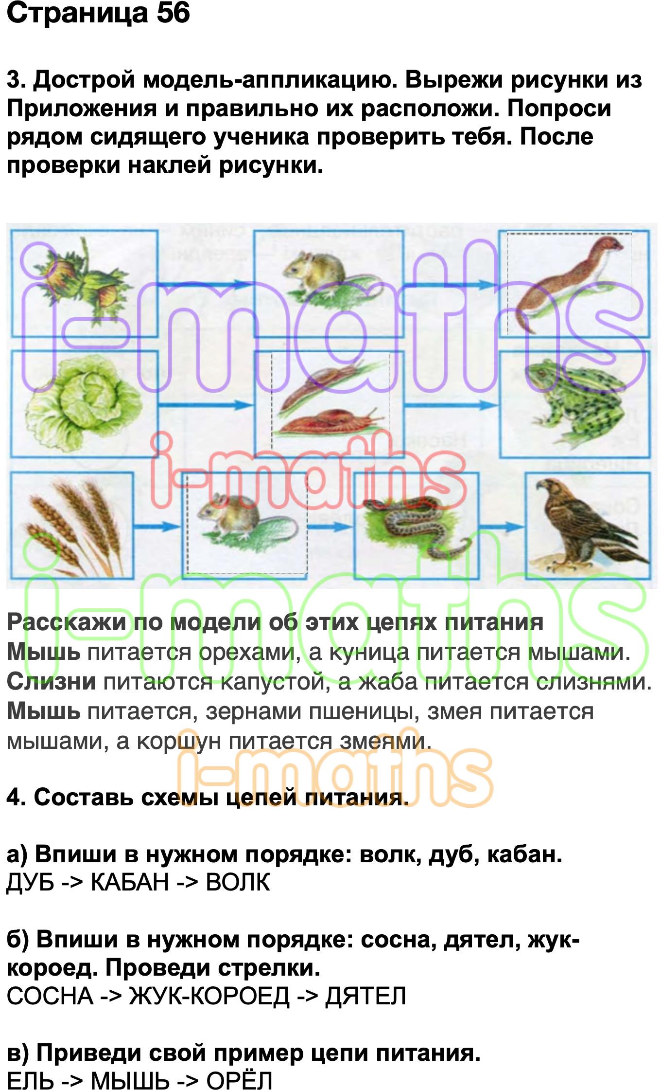 Дострой модель аппликацию вырежи рисунки из приложения. Дострой модель аппликацию. Достройте модель аппликацию вырежи. Дострой модель аппликацию цепи питания.