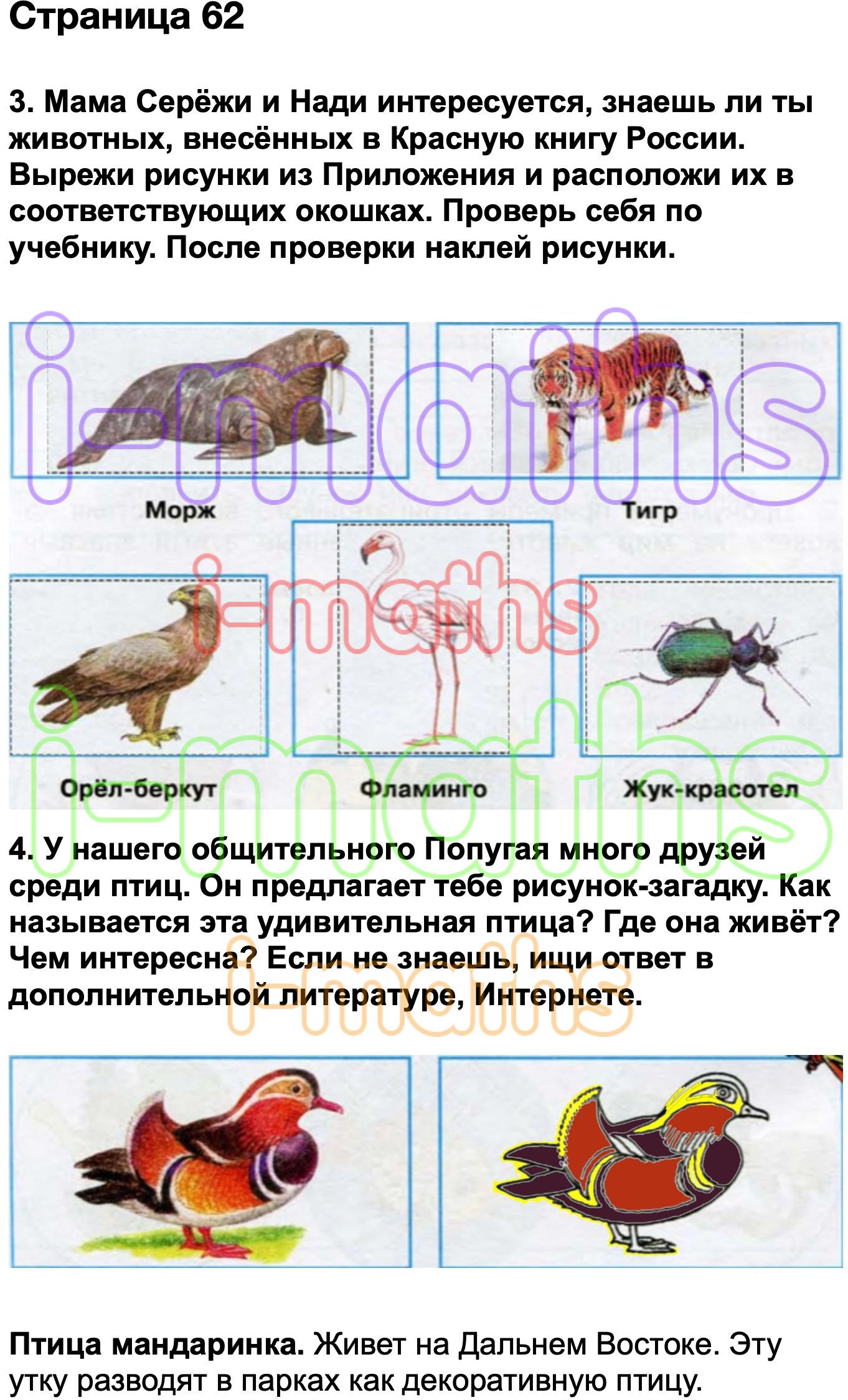 Окружающий мир 1 класс стр 62. Мама Серёжи и Нади интересуется знаешь. Окружающий мир 3 класс стр 62-63. Окружающий мир 3 класс рабочая тетрадь стр 62 что за птица. Окружающий мир 3 класс 1 часть стр 62.