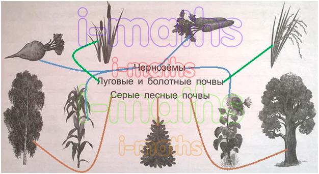 Установи соответствие между почвами. Установи соответствие между типом почвы и растениями. Установи соответствие почвы. Установите соответствие: почва растительность.