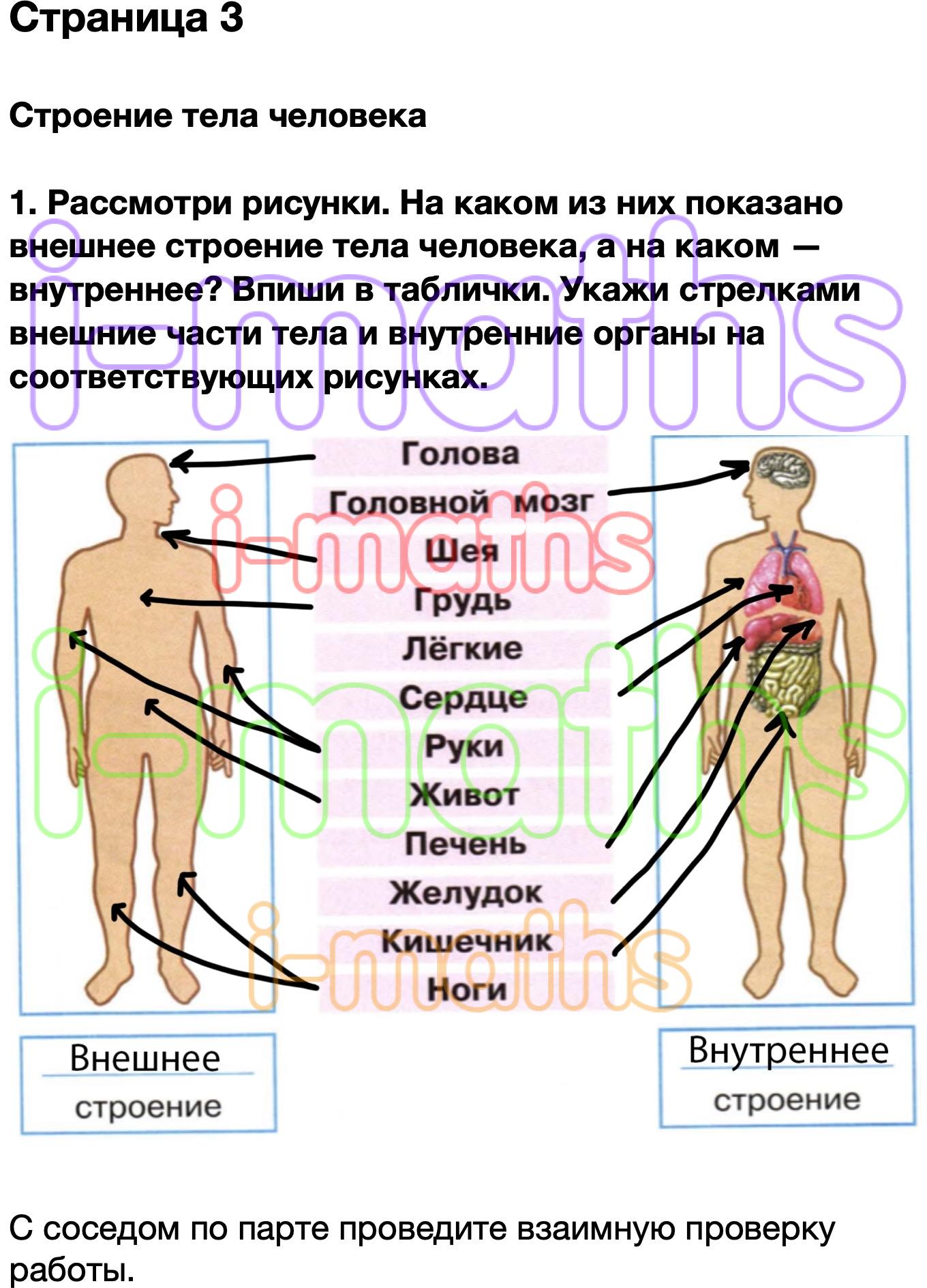 Ответ ГДЗ Страница 3 рабочая тетрадь окружающий мир Плешаков 2 класс 2  часть онлайн решебник