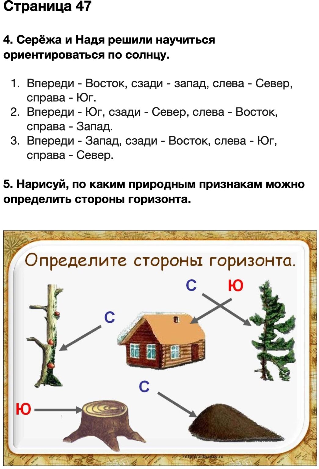 Нарисуй по каким природным признакам можно определить стороны горизонта 2 класс окружающий мир