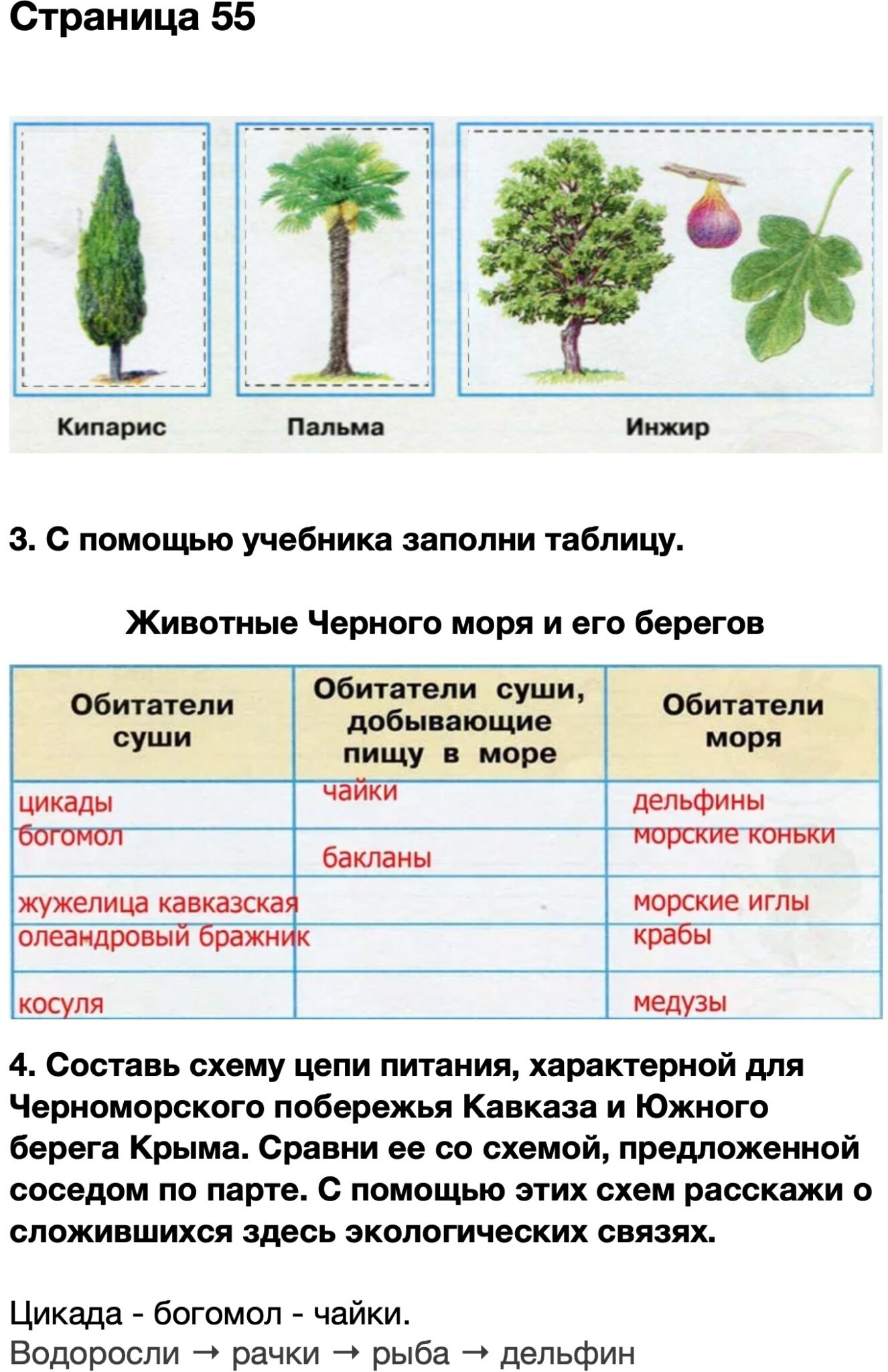 Проект по окружающему 4 класс 2 часть