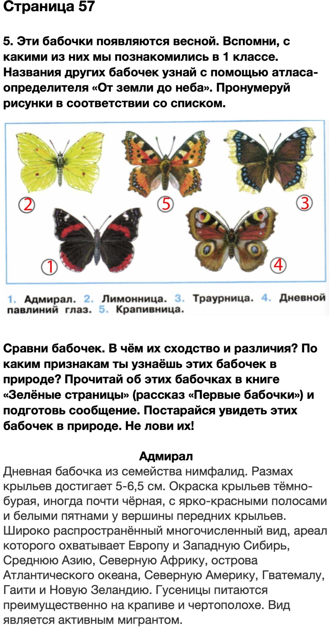 Первые бабочки зеленые страницы план сообщения 2 класс