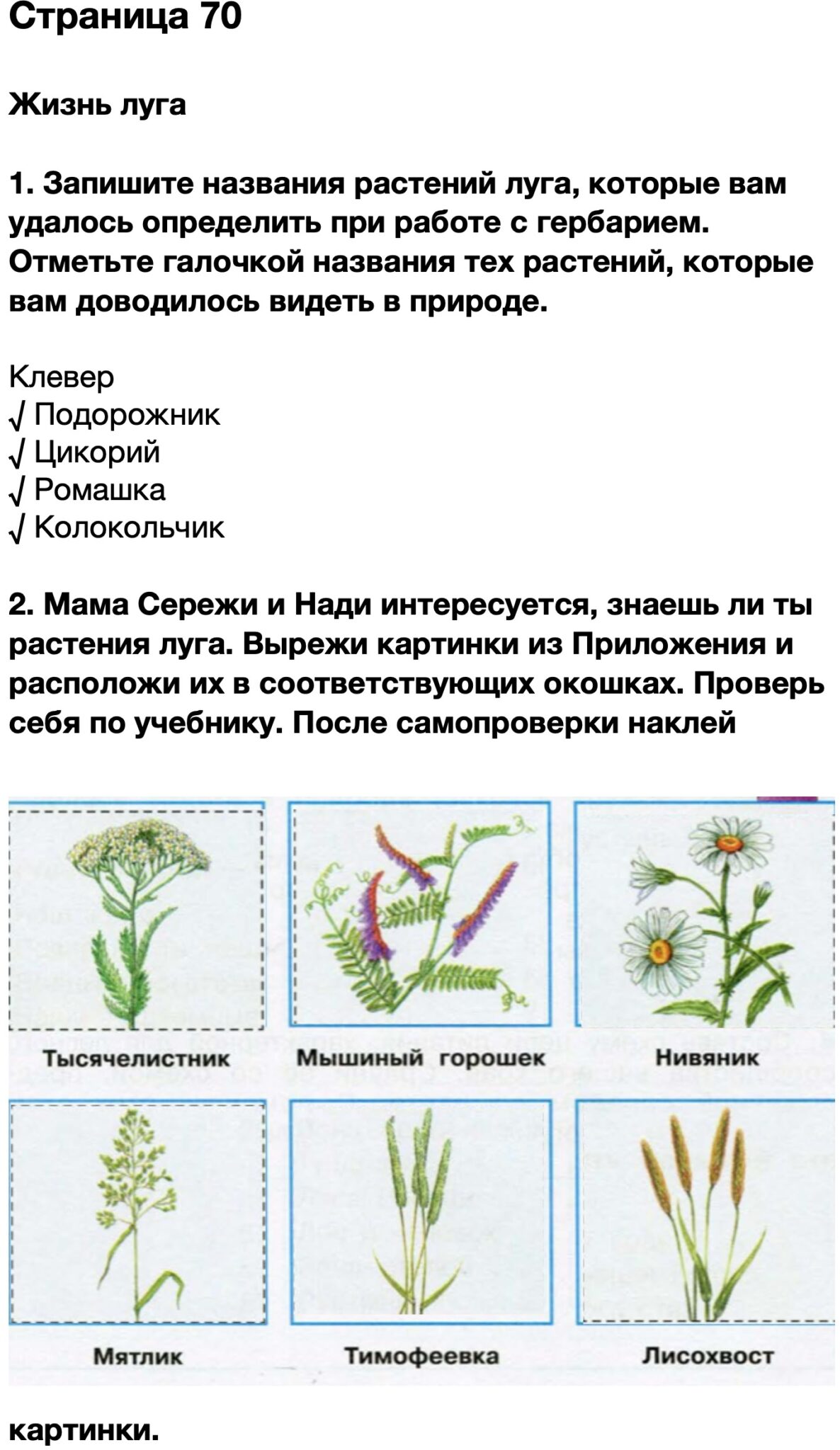 Ответы на вопросы 4 по окружающему. Запишите названия растений Луга. Растения окружающий мир 4 класс рабочая тетрадь. Запишите названия растений Луга которые вам удалось определить. Окружающий мир 4 класс 1 часть рабочая тетрадь страница 69.