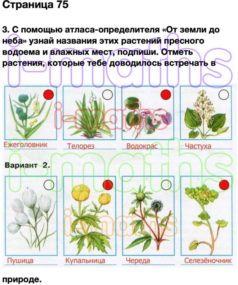 Презентация плешаков 4 класс мастера печатных дел 4 класс окружающий мир