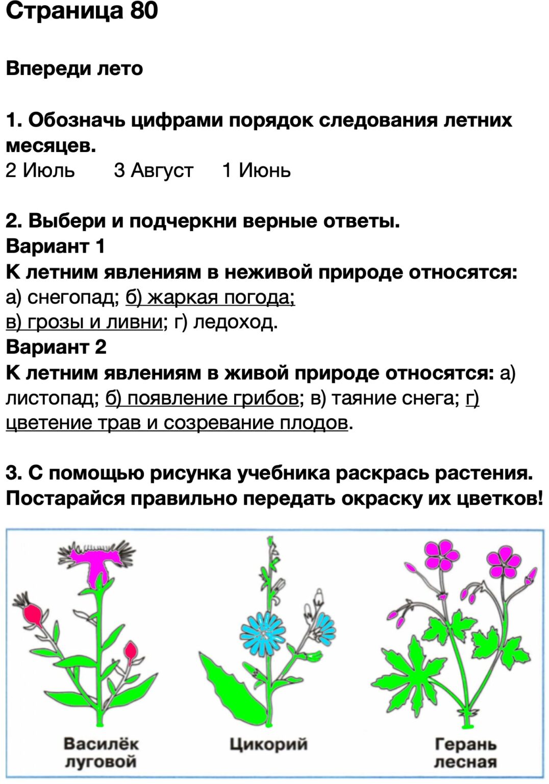 Впереди лето презентация 2 класс окружающий мир плешаков школа россии