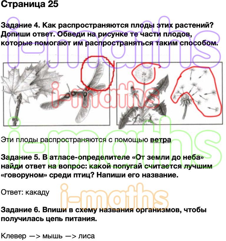 Ответ ГДЗ Страница 25 проверочные работы окружающий мир Плешаков 3 ...