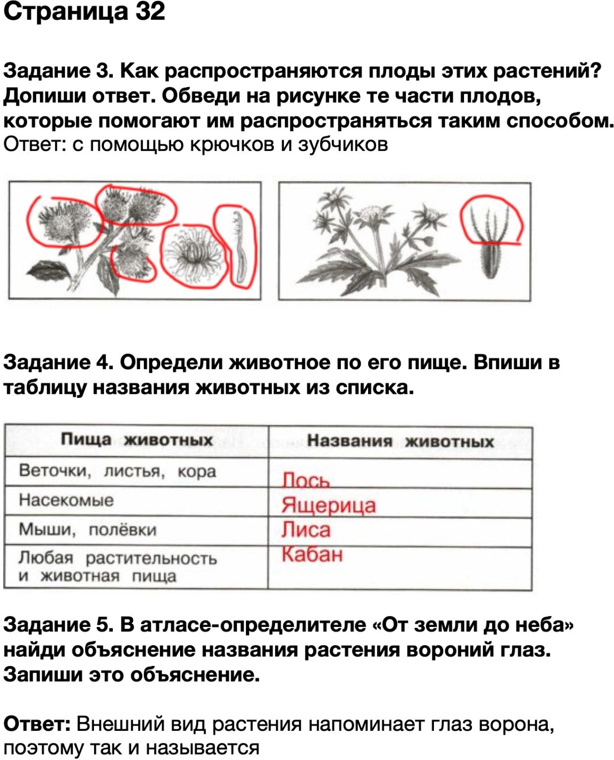 Впр биология 5 класс 2023