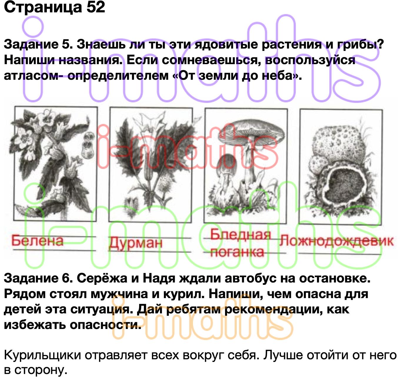 Проверочная работа окружающий мир 3 класс растения