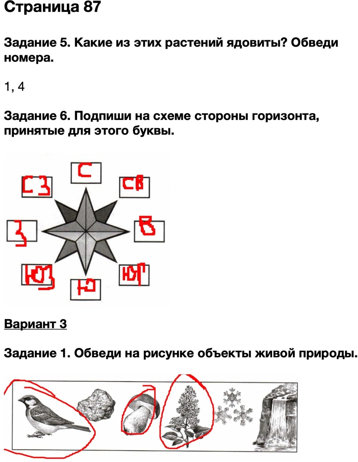 2 Класс Плешаков стороны горизонта тест